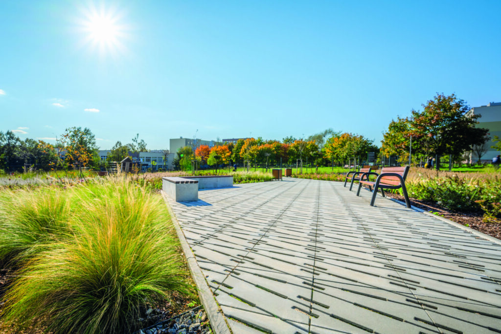 Extrano kielce park daszynskiego scaled – Centrum Kostki Brukowej Torni Kielce